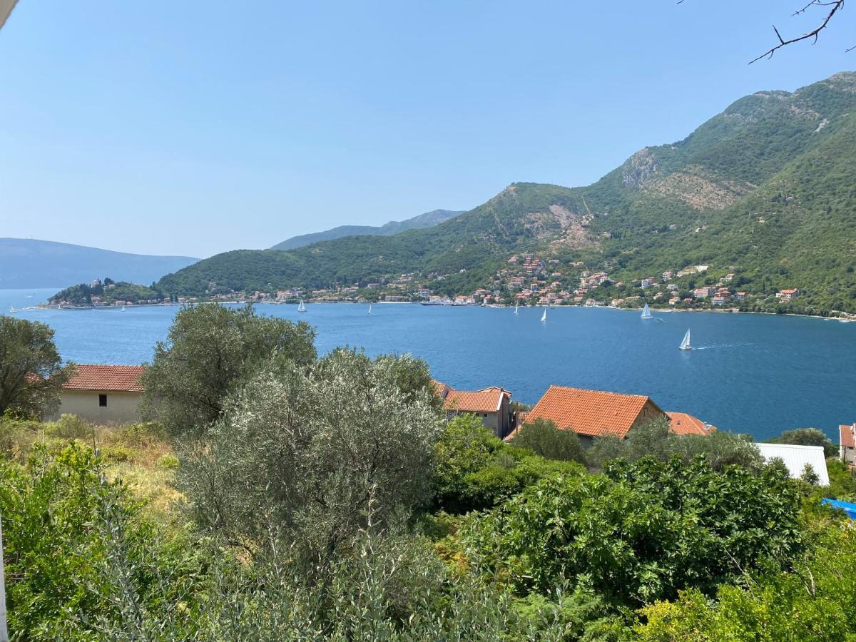 Apartman Irena Teodo Esterno foto
